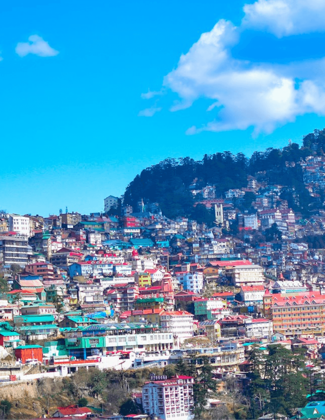 Mobile background image of Shimla