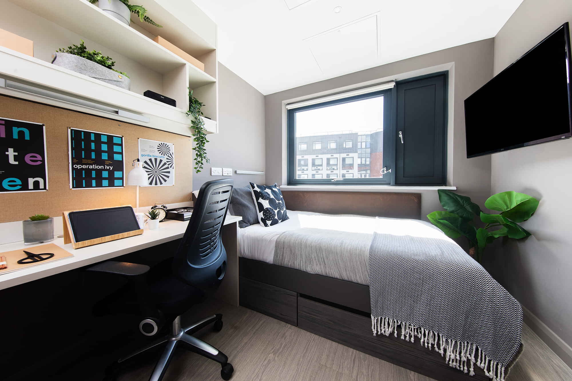 Collegiate Eclipse, Cardiff interior 1
