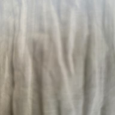profile image of Indrani Mukherjee