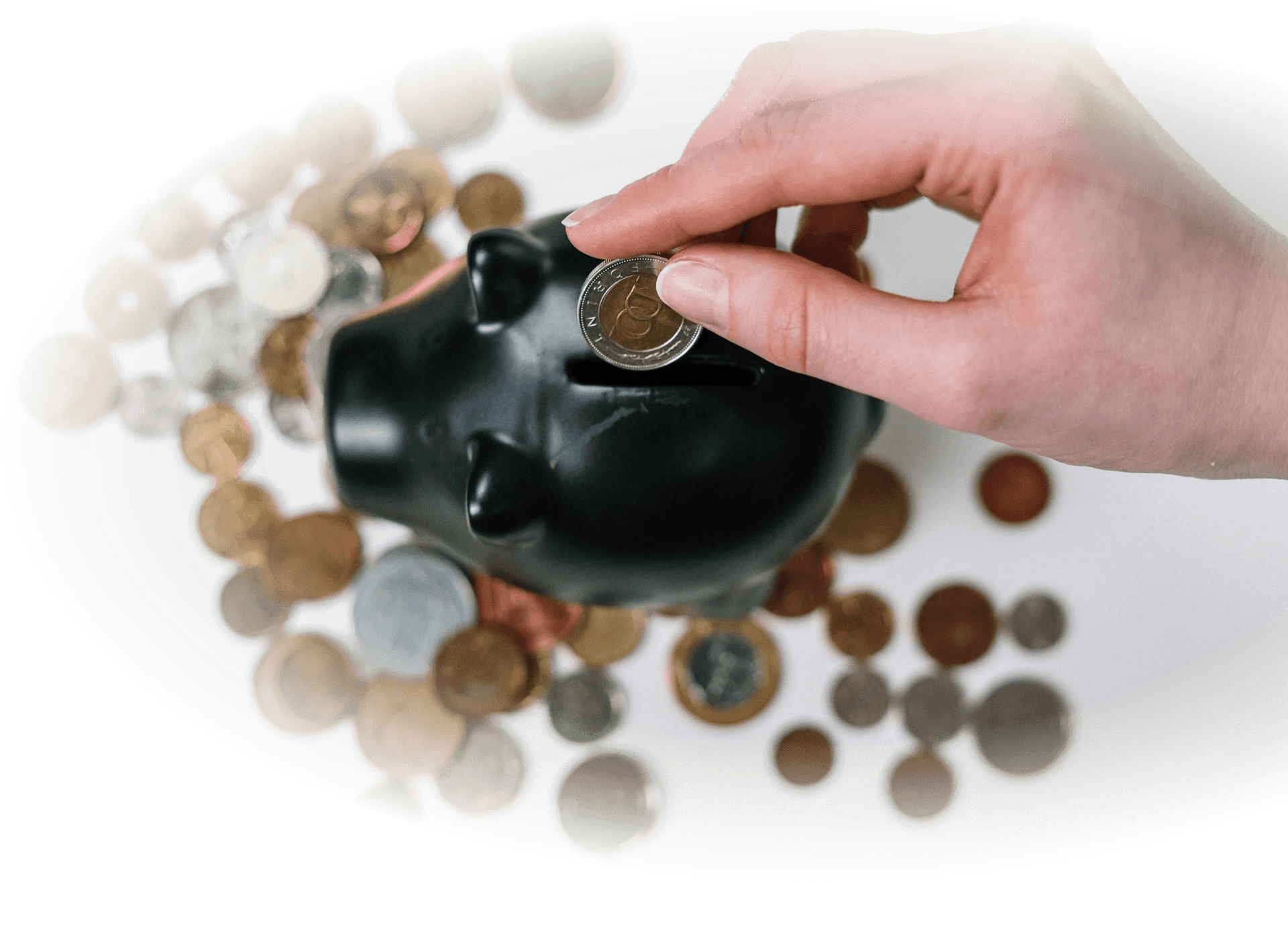 Illustration of educational loan services by Infigon Futures