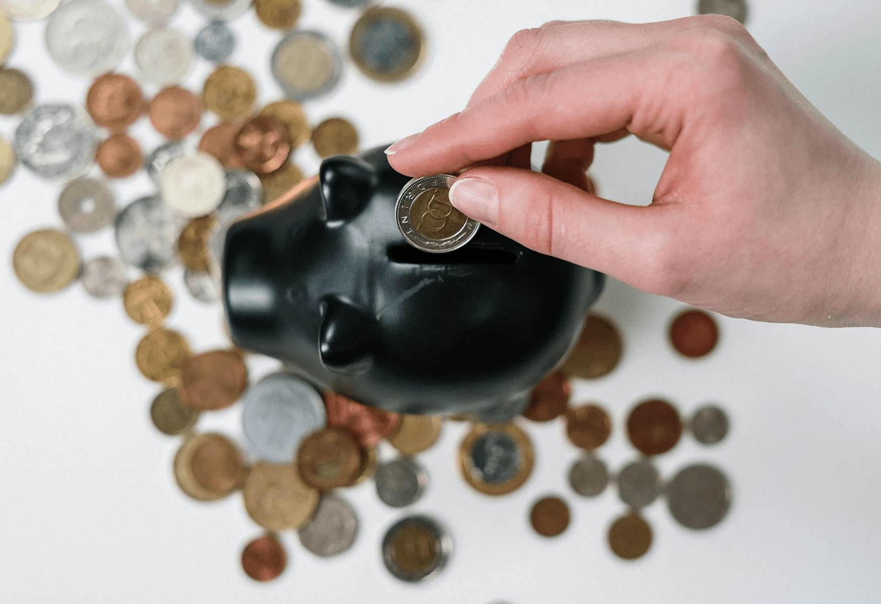 Apply for student loans online - Infigon