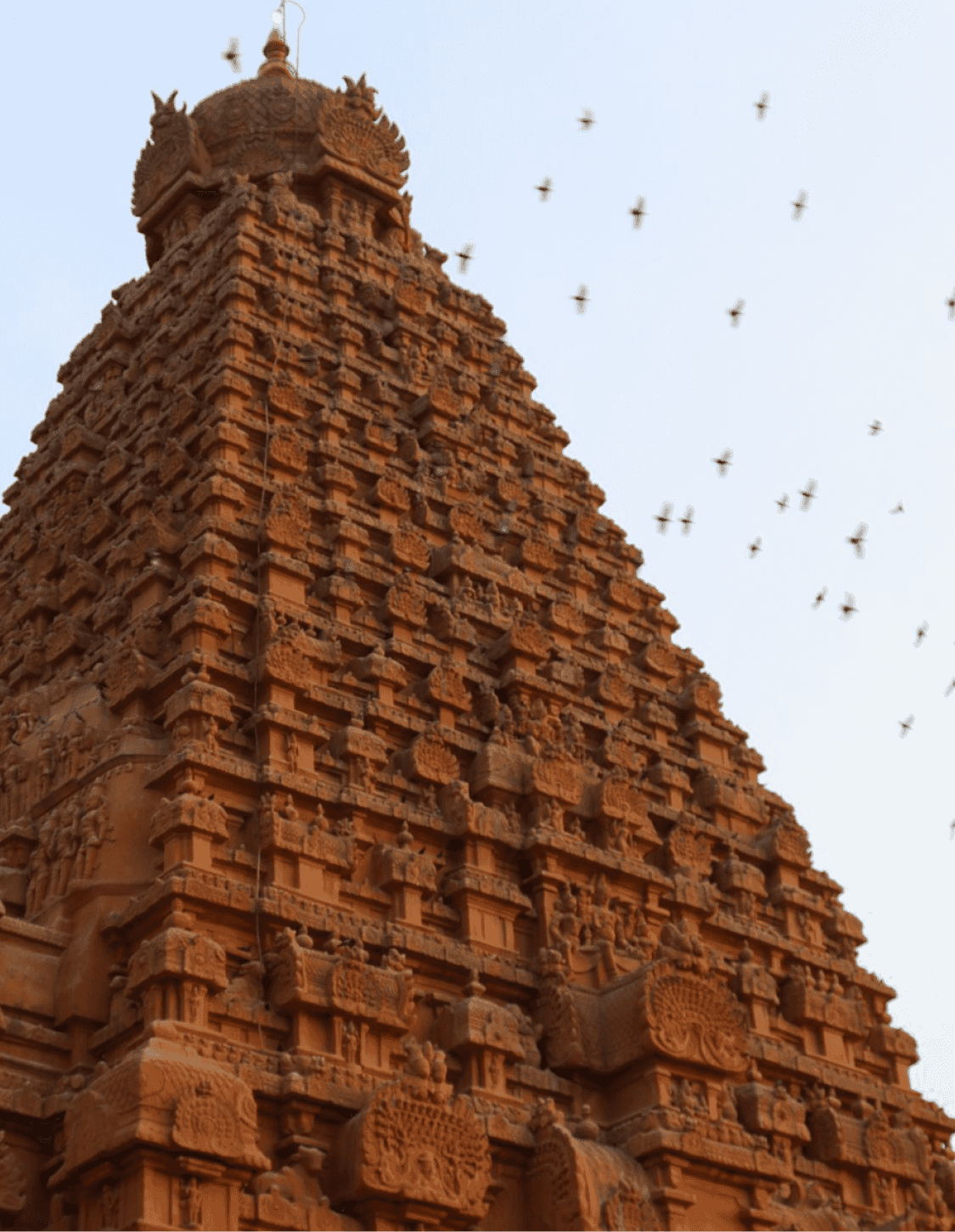 Mobile background image of Chennai